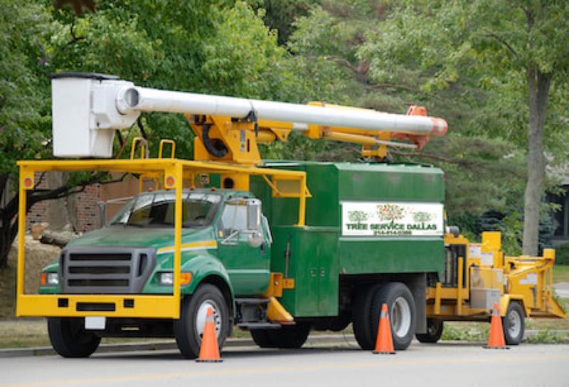 {SERVICE_NAME} project in Mansfield