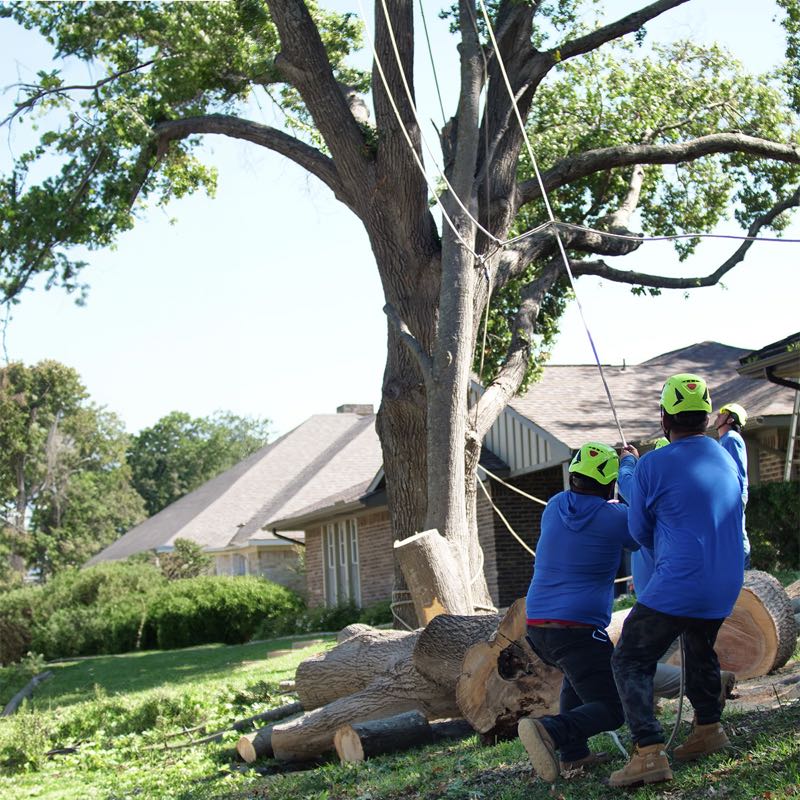 {SERVICE_NAME} project in Mansfield