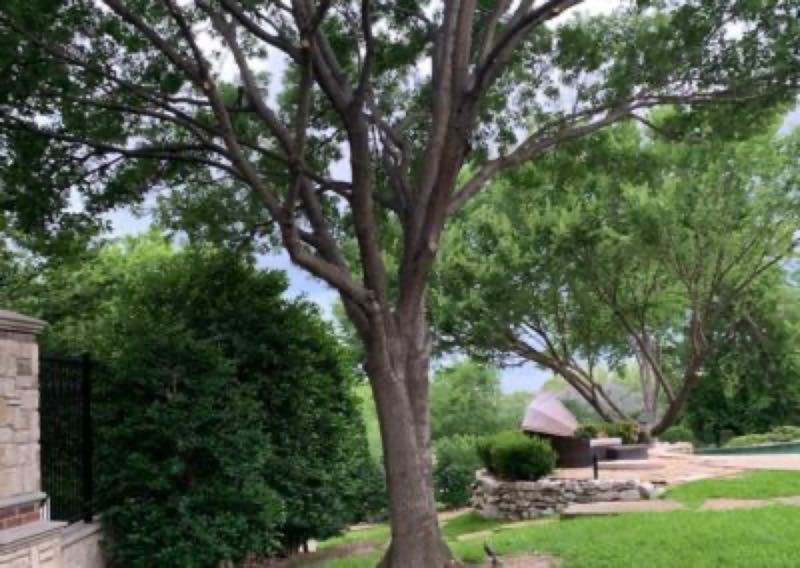 {SERVICE_NAME} project in Mansfield